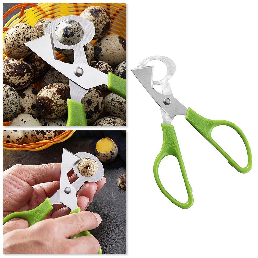 Taube Wachtel Offene Riss Klei – Egg Separator Tool Bewertung und Preis