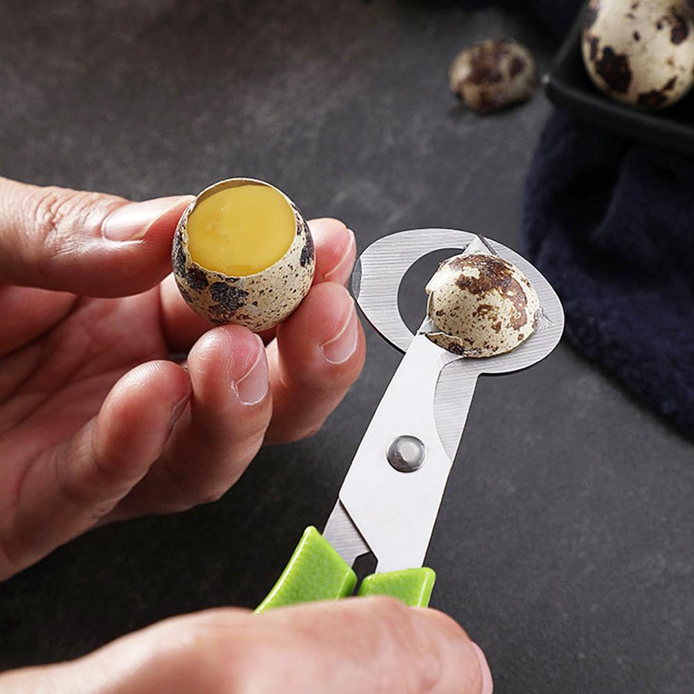 Taube Wachtel Offene Riss Klei – Egg Separator Tool Bewertung und Preis